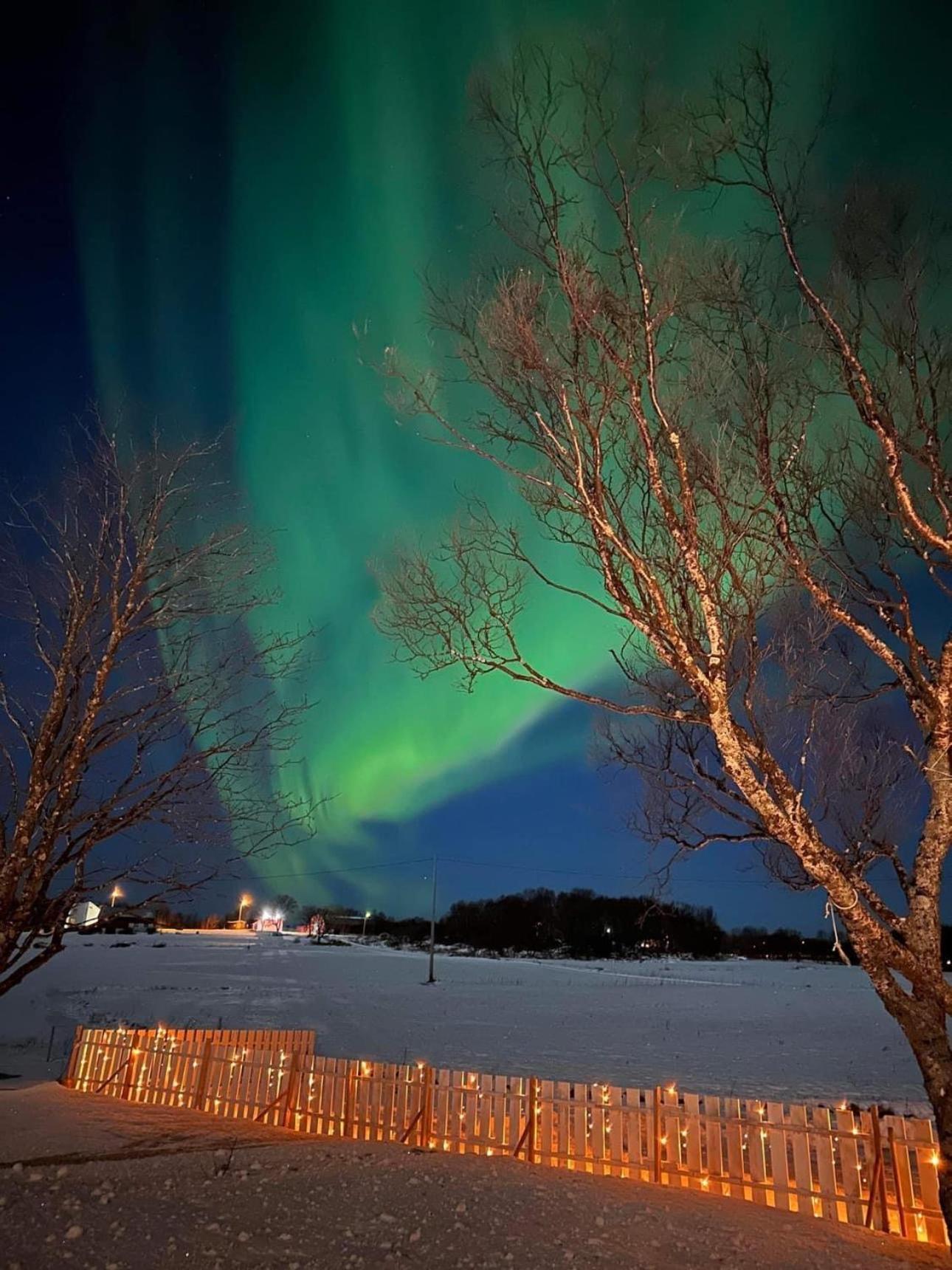 Midnattsolveien 3158,Sommarhusstrand Laukvik Lofoten Norway Экстерьер фото