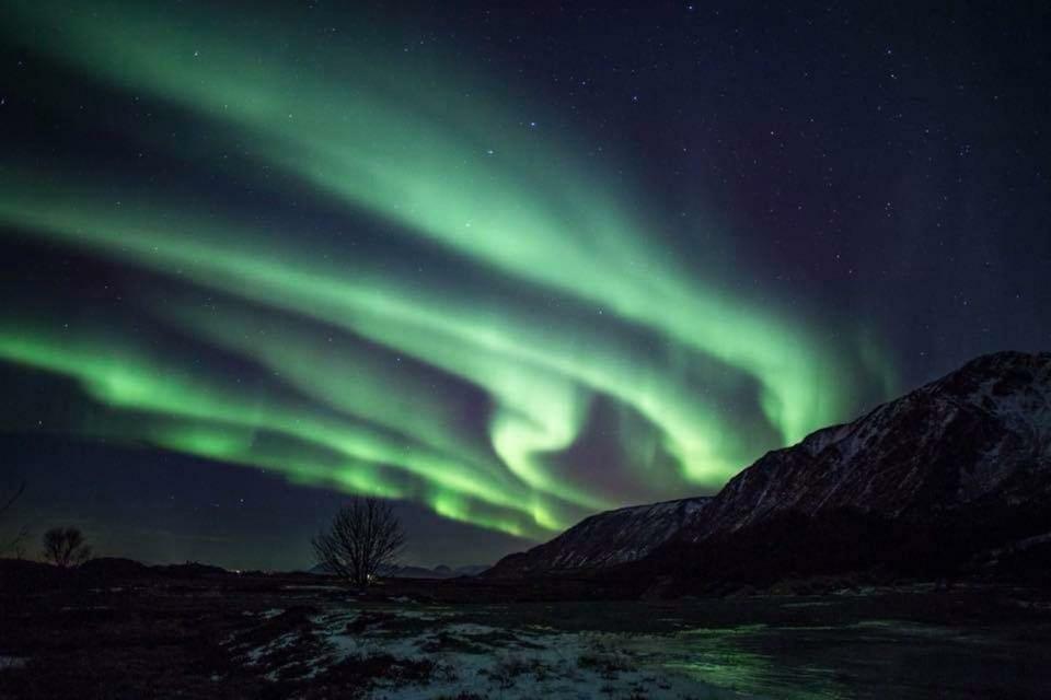 Midnattsolveien 3158,Sommarhusstrand Laukvik Lofoten Norway Экстерьер фото