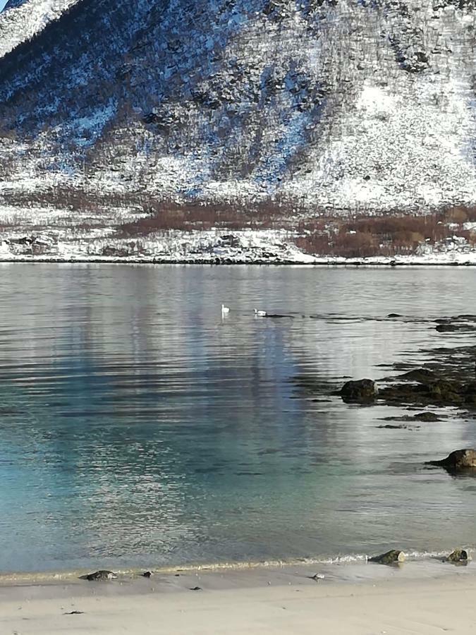 Midnattsolveien 3158,Sommarhusstrand Laukvik Lofoten Norway Экстерьер фото