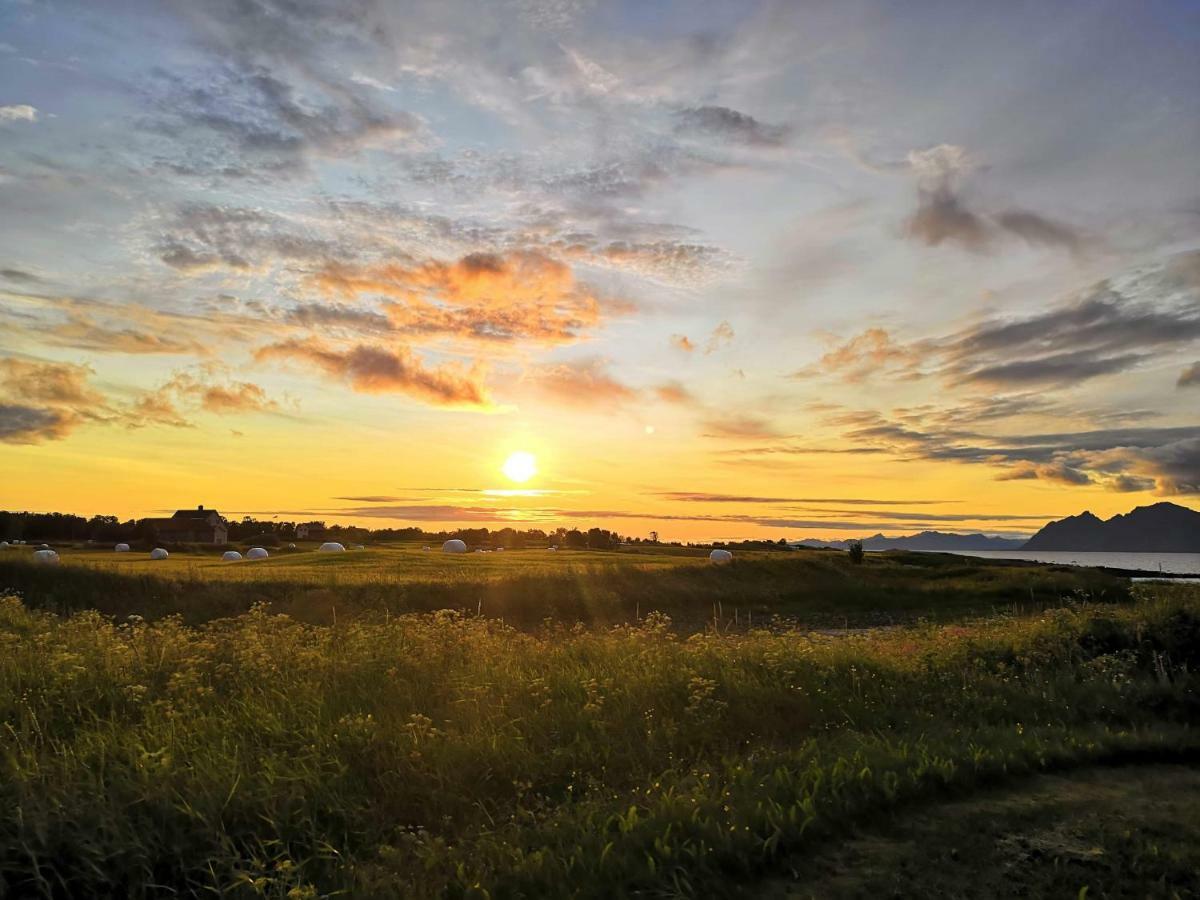 Midnattsolveien 3158,Sommarhusstrand Laukvik Lofoten Norway Экстерьер фото